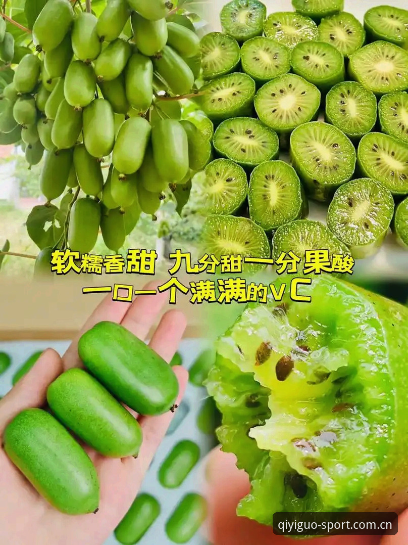 奇异果体育app安装 奇异果体育app安装渠道对比实用指南